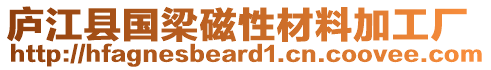 廬江縣國(guó)梁磁性材料加工廠