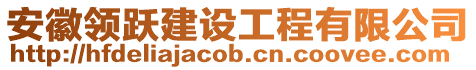 安徽領躍建設工程有限公司