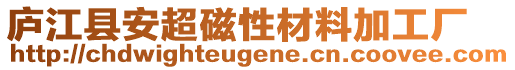 廬江縣安超磁性材料加工廠