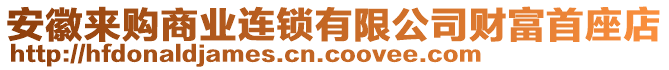 安徽來購商業(yè)連鎖有限公司財富首座店