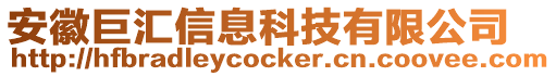 安徽巨匯信息科技有限公司