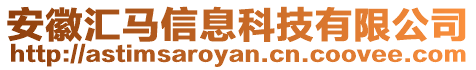 安徽匯馬信息科技有限公司