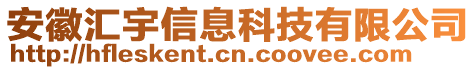 安徽匯宇信息科技有限公司