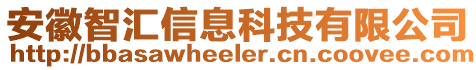 安徽智匯信息科技有限公司