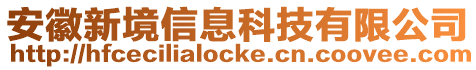 安徽新境信息科技有限公司