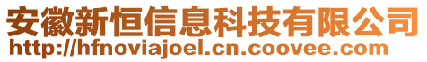 安徽新恒信息科技有限公司