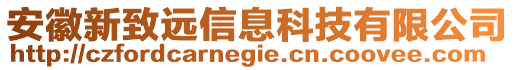 安徽新致遠(yuǎn)信息科技有限公司