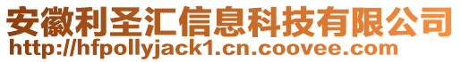 安徽利圣匯信息科技有限公司