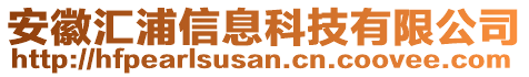 安徽匯浦信息科技有限公司