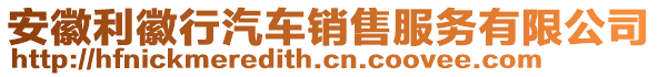 安徽利徽行汽車銷售服務(wù)有限公司