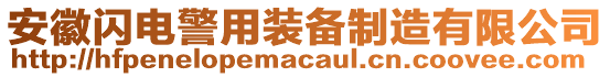 安徽閃電警用裝備制造有限公司