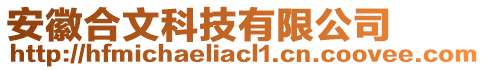 安徽合文科技有限公司