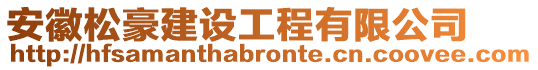 安徽松豪建設工程有限公司