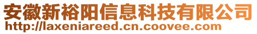 安徽新裕陽信息科技有限公司