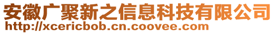 安徽廣聚新之信息科技有限公司