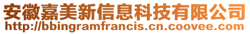 安徽嘉美新信息科技有限公司