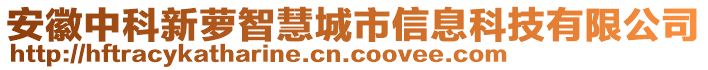 安徽中科新蘿智慧城市信息科技有限公司