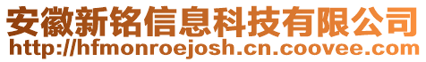 安徽新銘信息科技有限公司