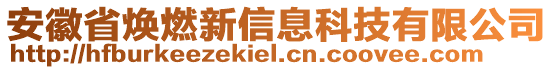 安徽省煥燃新信息科技有限公司