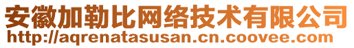 安徽加勒比網(wǎng)絡技術有限公司