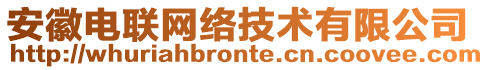 安徽电联网络技术有限公司