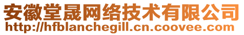 安徽堂晟網(wǎng)絡(luò)技術(shù)有限公司