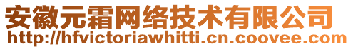 安徽元霜網(wǎng)絡技術有限公司