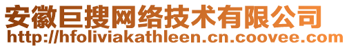 安徽巨搜網(wǎng)絡技術有限公司