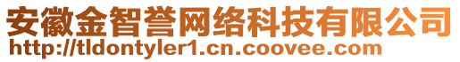 安徽金智譽(yù)網(wǎng)絡(luò)科技有限公司