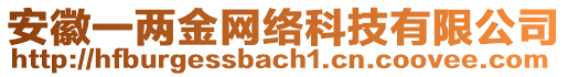 安徽一兩金網(wǎng)絡(luò)科技有限公司