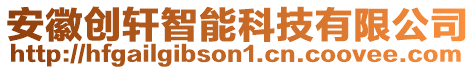 安徽创轩智能科技有限公司