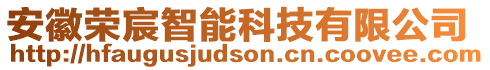 安徽荣宸智能科技有限公司