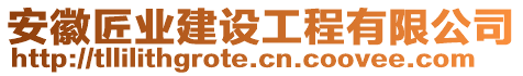 安徽匠業(yè)建設(shè)工程有限公司