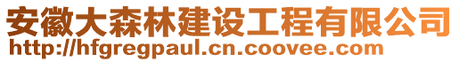 安徽大森林建設(shè)工程有限公司