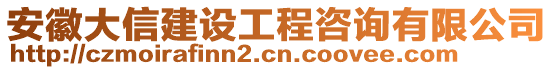 安徽大信建設(shè)工程咨詢(xún)有限公司