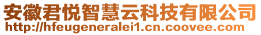 安徽君悅智慧云科技有限公司