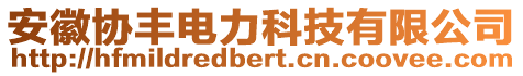 安徽協(xié)豐電力科技有限公司