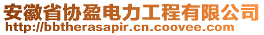 安徽省協(xié)盈電力工程有限公司