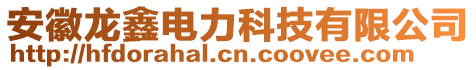 安徽龍?chǎng)坞娏萍加邢薰? style=