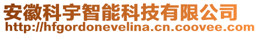 安徽科宇智能科技有限公司