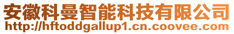 安徽科曼智能科技有限公司