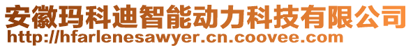 安徽瑪科迪智能動力科技有限公司