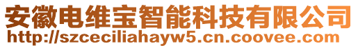 安徽電維寶智能科技有限公司