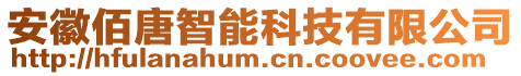 安徽佰唐智能科技有限公司