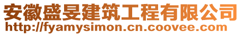 安徽盛旻建筑工程有限公司