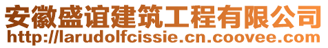 安徽盛誼建筑工程有限公司