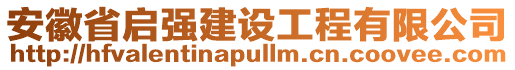 安徽省啟強建設工程有限公司