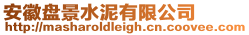 安徽盤景水泥有限公司