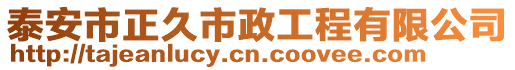 泰安市正久市政工程有限公司