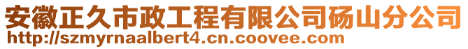 安徽正久市政工程有限公司碭山分公司